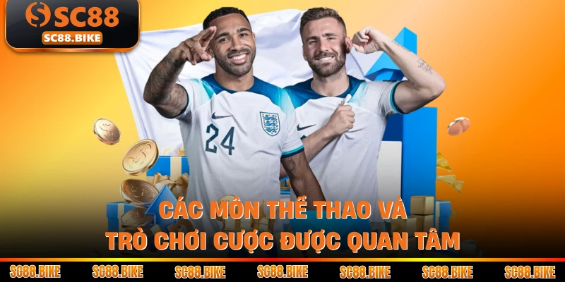 Các môn thể thao và trò chơi cược được quan tâm