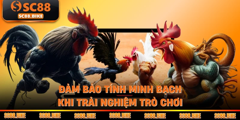 Đảm bảo tính minh bạch khi trải nghiệm trò chơi