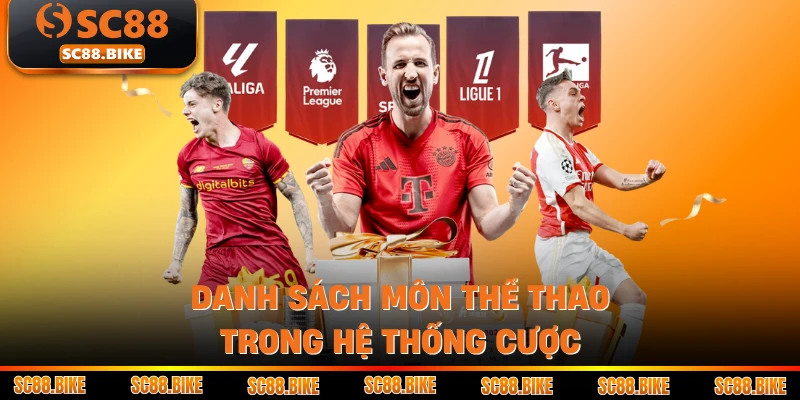Danh sách môn thể thao trong hệ thống cược