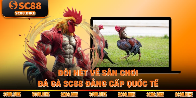 Đôi nét về sân chơi Đá gà SC88 đẳng cấp quốc tế