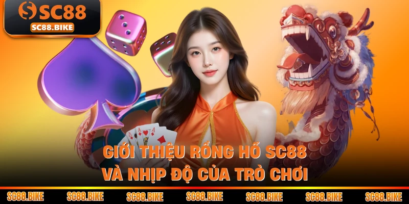 Giới thiệu Rồng Hổ SC88 và nhịp độ của trò chơi