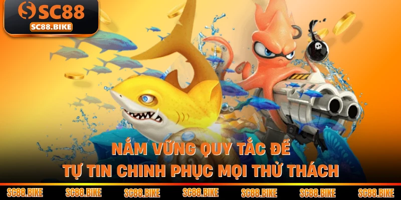 Nắm vững quy tắc để tự tin chinh phục mọi thử thách