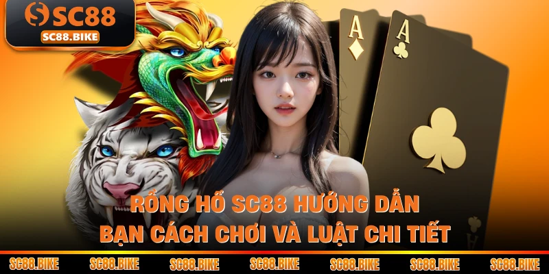 Rồng Hổ SC88 Hướng Dẫn Bạn Cách Chơi Và Luật Chi Tiết